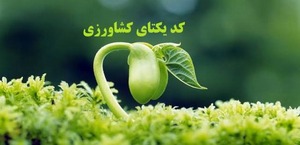 سامانه شناسه دار کردن محصولات کشاورزی (یکتا)